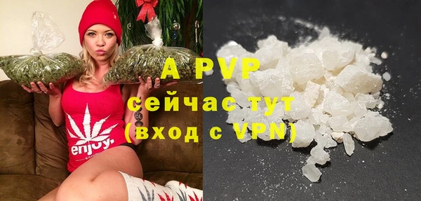 шишки Арсеньев