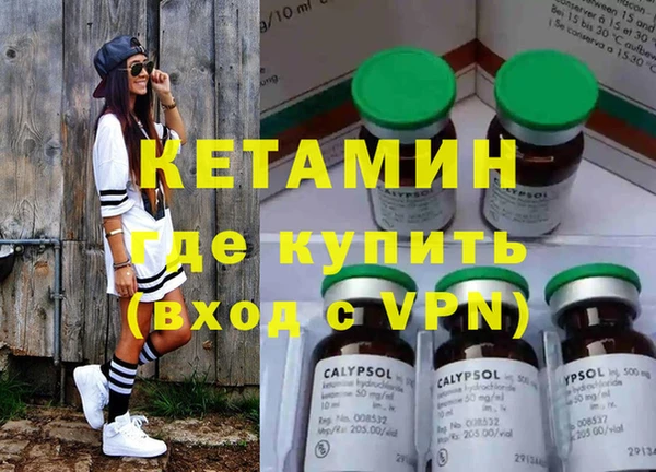 шишки Арсеньев