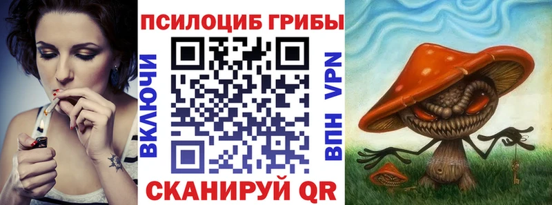 даркнет как зайти  Полесск  Галлюциногенные грибы MAGIC MUSHROOMS 